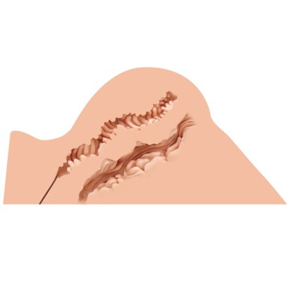 Мастурбатор-полуторс Naked Factory Hannah