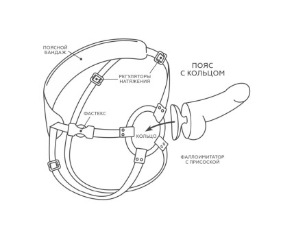 Универсальный пояс с кольцом и реалистичной насадкой - 18 см.