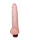 Вибратор реалистичной формы HUMAN FORM - 20,5 см.