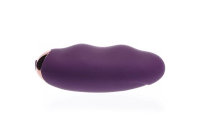 Вибропульт дистанционного управления Ms.Minnie