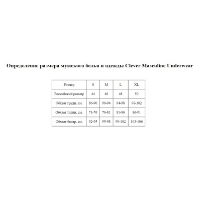 Серебристые трусы-брифы Chakra Latin Brief