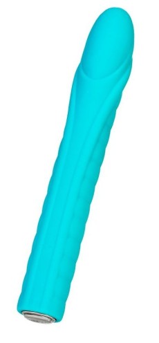 Бирюзовый вибратор Nalone Dixie - 16,7 см.