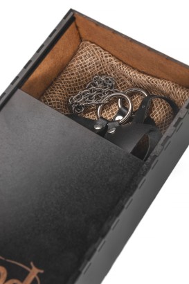 Черная портупея-чокер с поводком и карабином в виде кольца