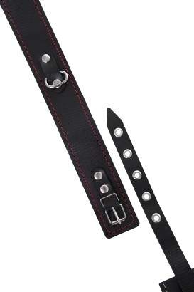 Кожаный двухслойный ошейник с красной строчкой и поводком